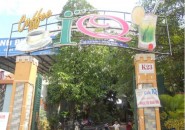 Cafe kem IQ